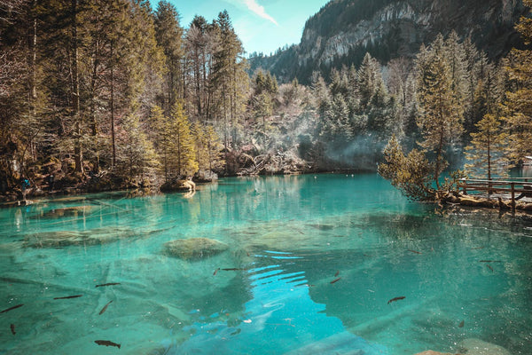 visiter-le-parc-national-suisse-conseils-de-voyage