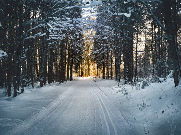 3 destinations à découvrir cet hiver en France