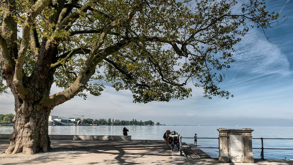 visiter-bregenz